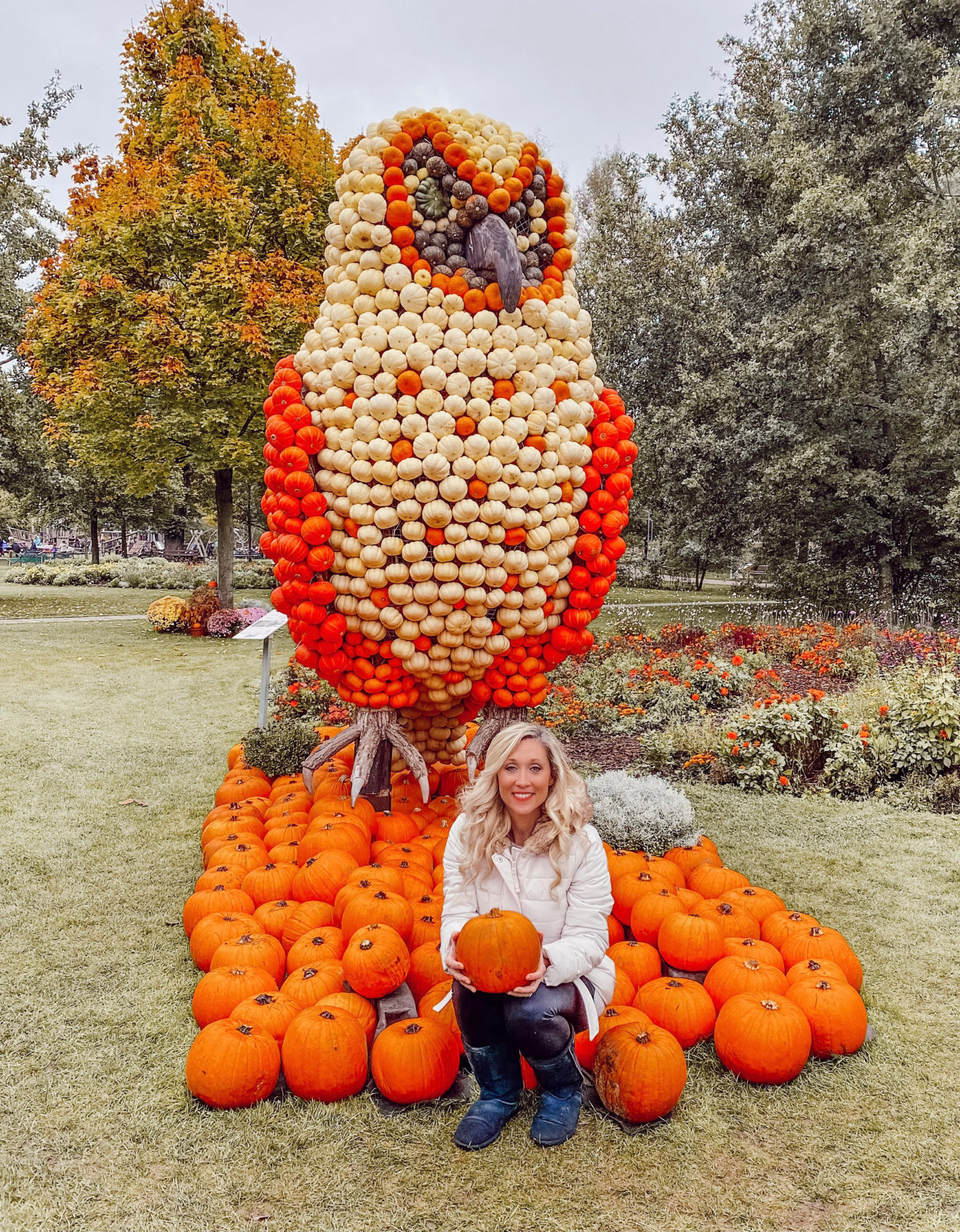 Ultimate Guide to the Best Pumpkin Patches and Festivals in Germany