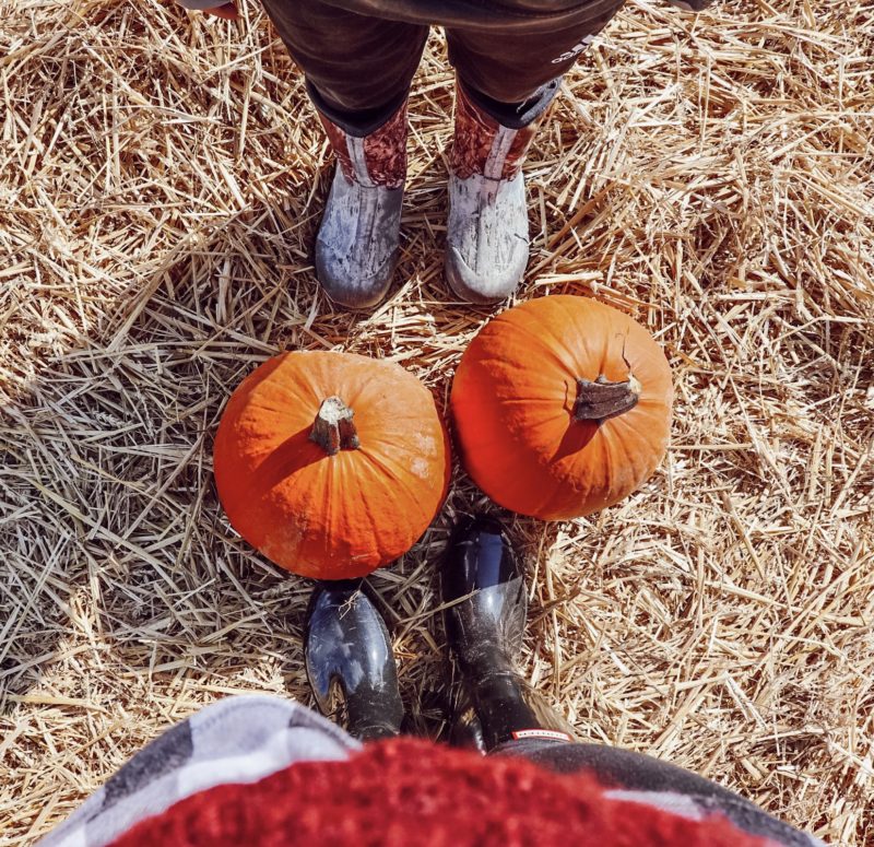 Ultimate Guide to the Best Pumpkin Patches and Festivals in Germany